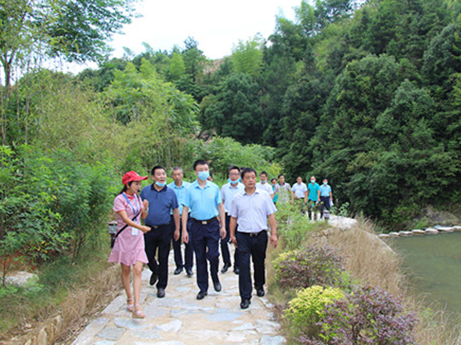 鄂旅投咸寧集團(tuán)與九宮山管委會聯(lián)合組織黨建調(diào)研活動,助力鄉(xiāng)村振興發(fā)展